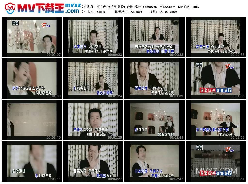 蔡小虎-放乎醉(替换)_台语_流行_YE300768